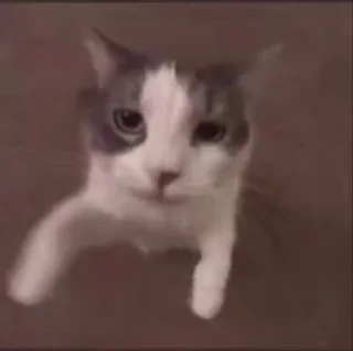 🥳