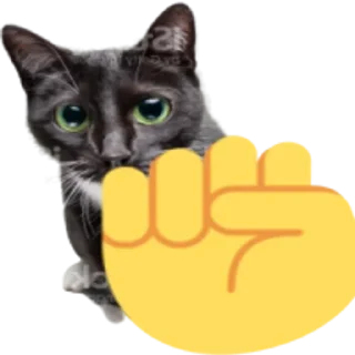 ✊