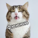 🙊