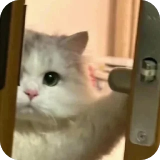 🫥