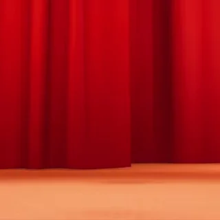 🫣