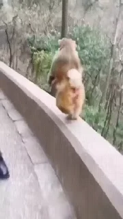 👣