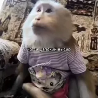 🌟