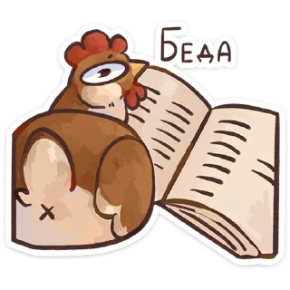 🌟