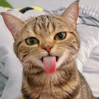 😛