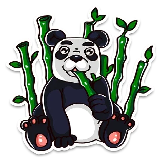 🐼