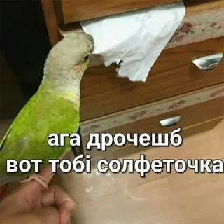 🤭