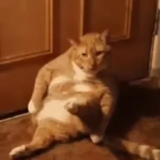 🥲