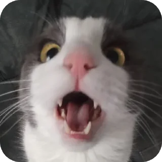 😱