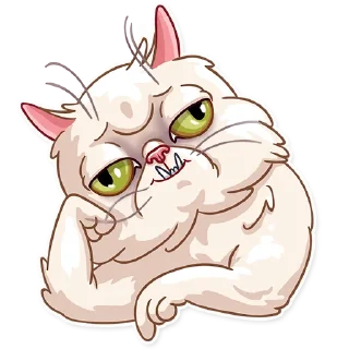 😼