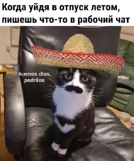 🌟