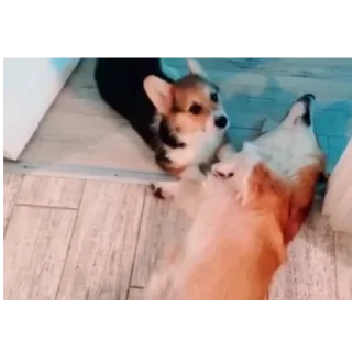 👍