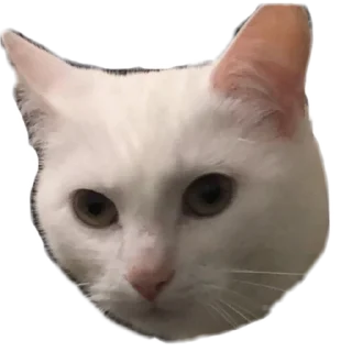 Bagdun’s Thomas
