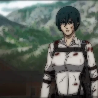 🧣