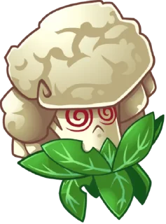 🥬