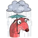 ☔