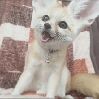 😟