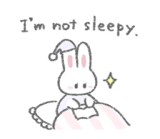 🐰