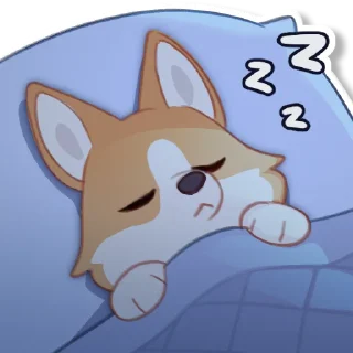💤