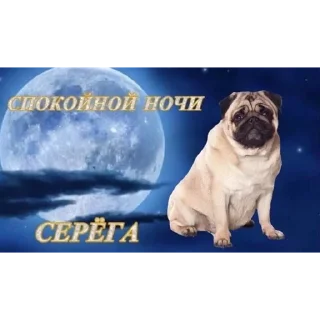 🛌