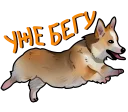 🐕