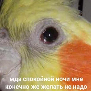 😴