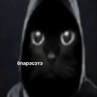 😎