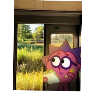 🐱