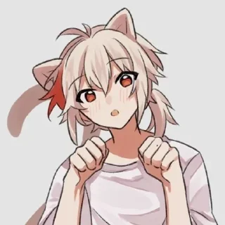 😽