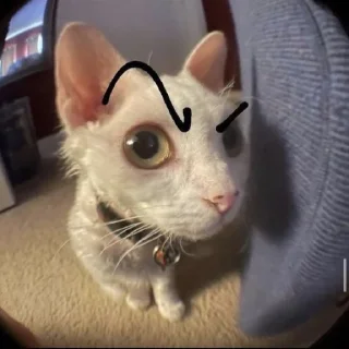 🤔