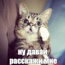 😉
