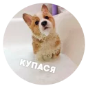 🛁