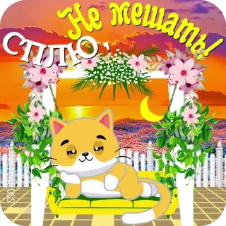 🐱