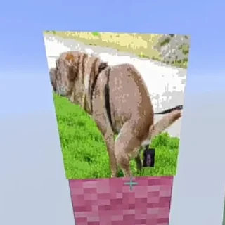 🐕‍🦺