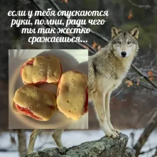 🥪