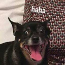 🐶