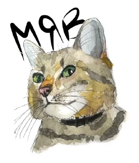😺