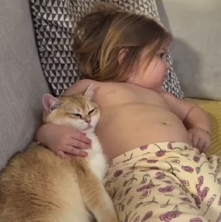 🐱