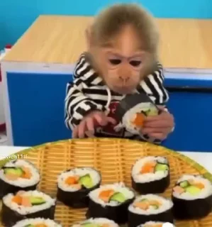 🍱