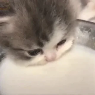 🍼