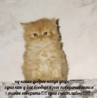 🤍