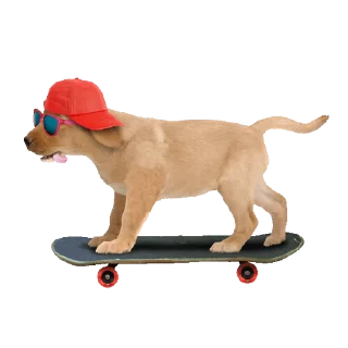 🛹