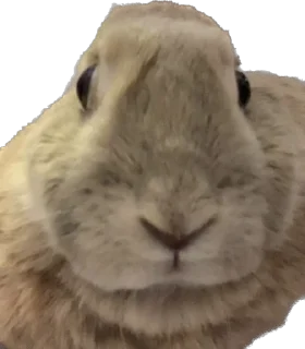 😳
