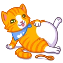 🐱
