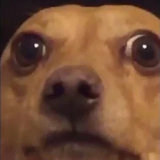 👀