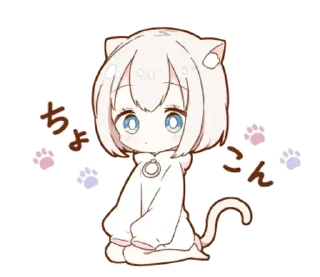 🐱