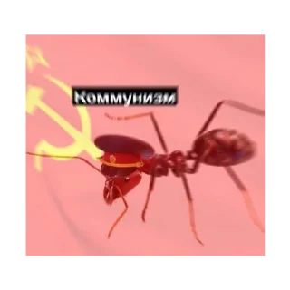 🐜