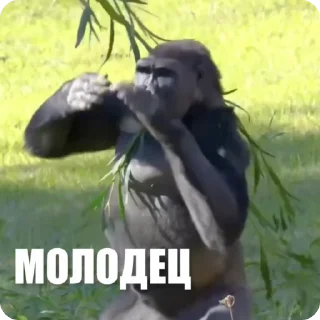👍