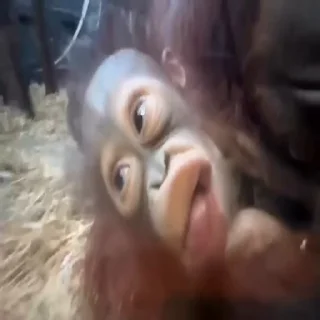 😛