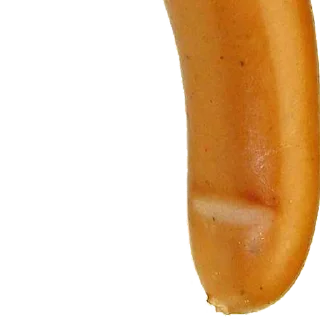 🍖